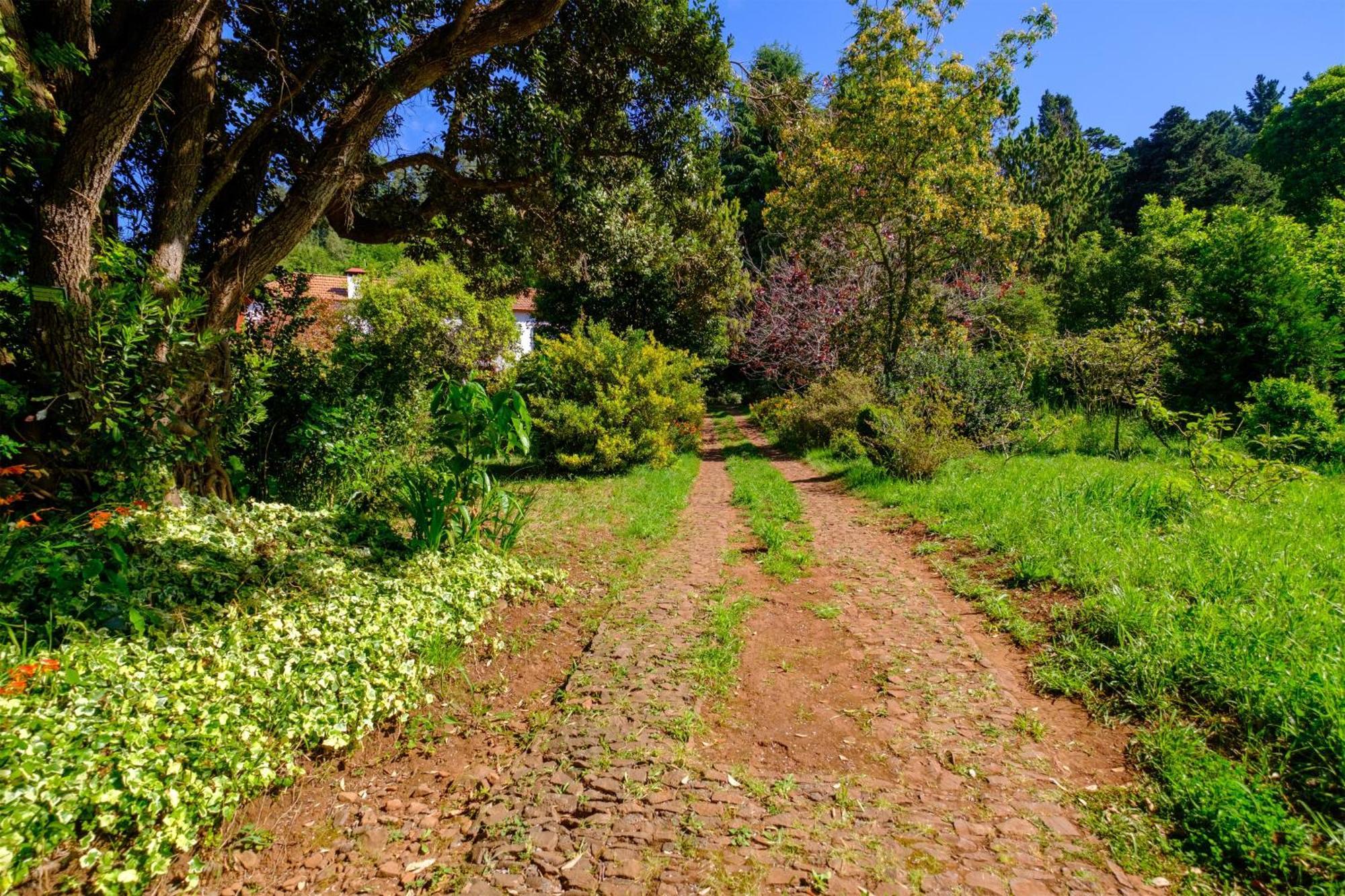 Valle Paraizo Camacha (Madeira) Exterior foto